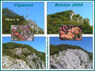 Rostun 2008